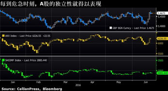 一个投资人持有A公司股票(一个投资人持有某公司的股票,他的投资报酬率为15%)