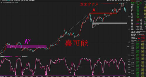 6开头3开头0开头的股票(6开头和3开头的股票哪个好)