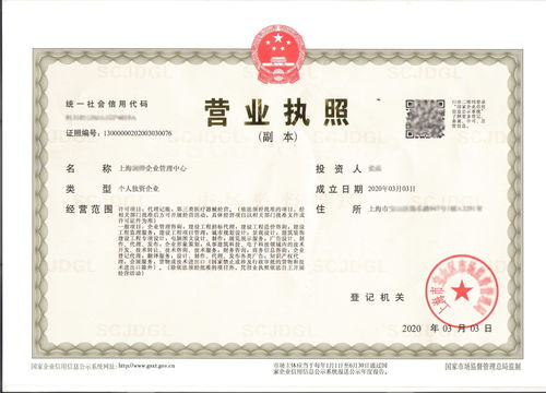 个人注册公司(个人注册公司怎么注册)