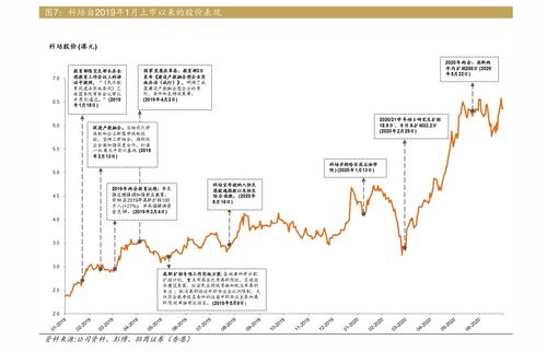 b股包括哪些股票(b 股是什么)