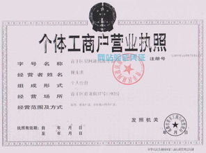 自己办理注册公司流程(注册公司网上申请入口)