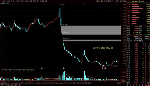 怎么查股票从头到尾的盈亏啊(怎么看股票自己最近几天的盈利)