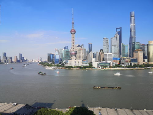 上海世基黄蓝带(上海世基黄蓝带下载)