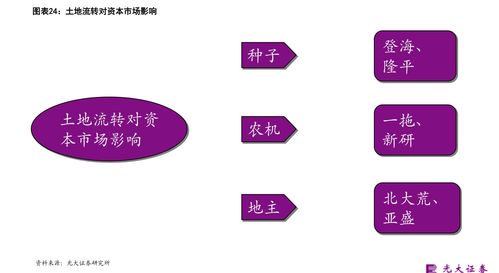金融股票的十大龙头股(金融相关股票)