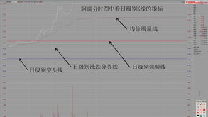 炒股哪个软件k线好用(炒股哪个软件k线好用又准确)