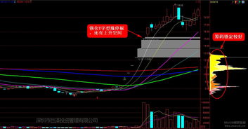 a股b股h股n股哪个好(a股b股h股n股s股)