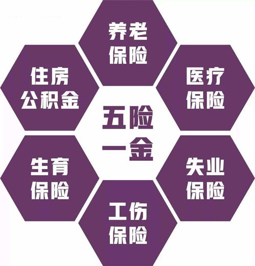 公司年年亏损怎么不倒闭(公司年年亏损却不解散的原因)