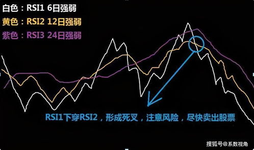 为什么中国股市最坑人(为什么说中国股市是坑)