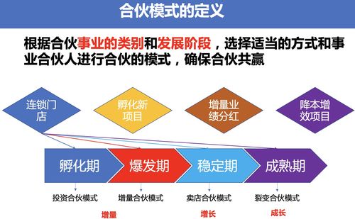 合伙人合作模式(合伙人合作模式方案设计)