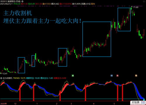跟着主力买股票好吗(跟着主力买能不能赚钱)