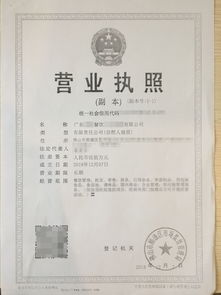 个人投资公司怎么注册(个人投资公司怎么注册营业执照)