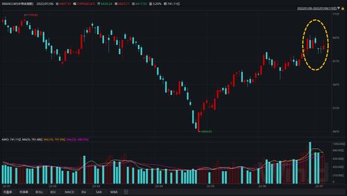 股票最疯狂的玩法(2020最疯狂的股票)