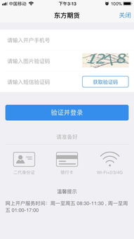 东方汇金期货下载(钜丰贵金属app下载)