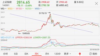 炒股软件骗了多少人(炒股软件是真是假)