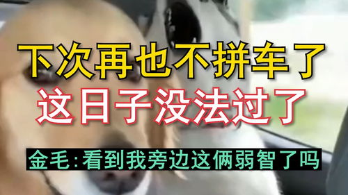 亏了三万再也不炒股了(炒股亏了三万块钱,该不该退出股市)