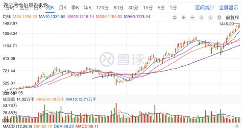 新手200元炒股可以赚多少(200块钱炒股一天能赚多少)