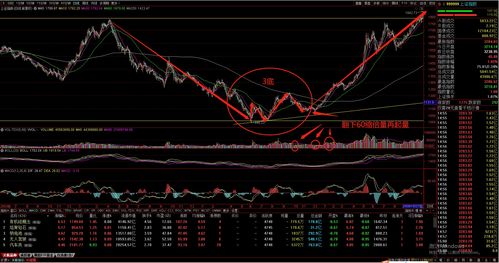 2万块炒股一个月能赚5000吗(2万炒股 一般能挣多少)