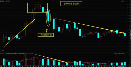 为什么不能买600开头的股票(600开头的股票买不了)