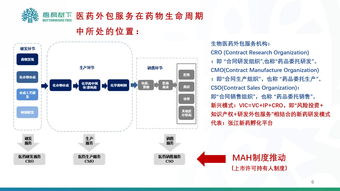 我国ipo上市采用什么制度(ipo上市规则)