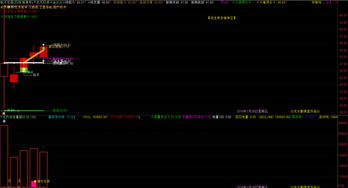独一无二稀缺股票(2023未来可能涨100倍的股票)