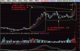股票一千万的散户多吗(1000万在股市算大户吗)