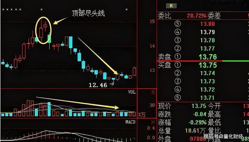 中国每年炒股死多少人(十个炒股九个亏的原因)