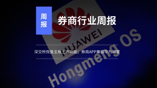 深交所叫什么股(深交所叫什么股票名字)
