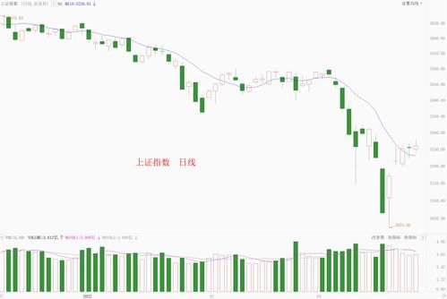 买股票选上海A和深圳A哪个好(上海a股账户和深圳选哪个好)
