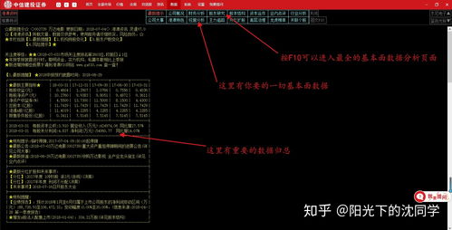 怎么开始炒股(怎么在手机上炒股)