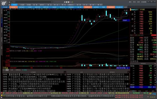 美锦能源股票(美锦能源股票分红)