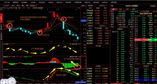 怎么知道股票有主力进入(炒股怎样知道主力已经跑了)