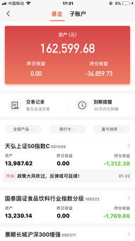 我30万买基金亏了10万了(一万块基金一个月收益)