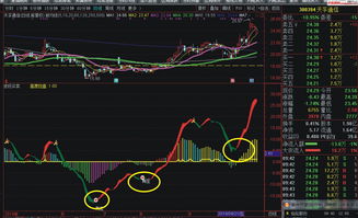 通达信黄蓝带指标如何用(通达信黄蓝主图指标)