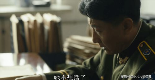 炒股人的悲惨下场图片(炒股的悲哀)
