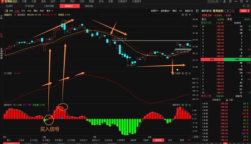 为什么我的股票卖不了(为什么我的股票卖不出)
