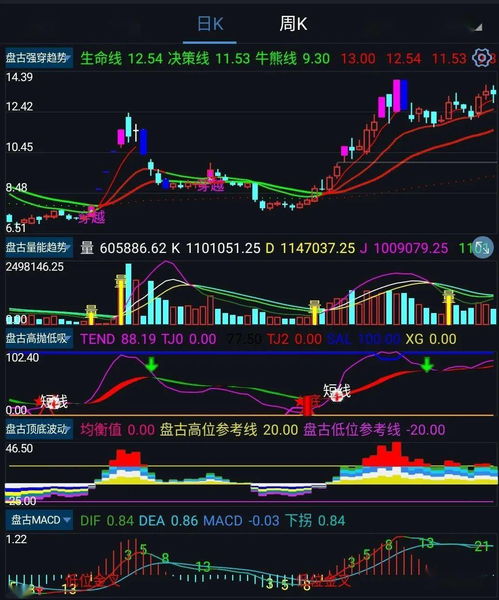 手机上怎么炒股票(手机上怎么炒股票交易)