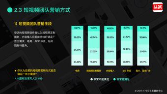 带人炒股分成(代人炒股分成)