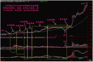 怎么快速了解股票玩法(我想了解一下股票怎么玩)