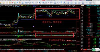 怎样选好股票(怎样选好股票中短线)