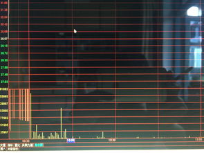 炒股能亏到什么程度(炒股能亏多少)