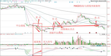 股价能够反映未来吗(股价可以反映公司的实力吗)