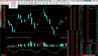 从哪里看增发股票的锁定期呢(增发的股票有锁定期)