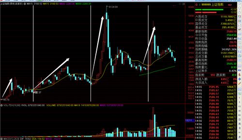 炒股入门应该怎么开户(炒股软件app排名)