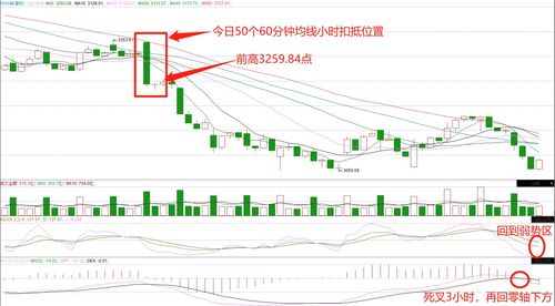 一个出钱一个出力股份怎么分(一个出钱一个出力股份怎么分合同怎么写)