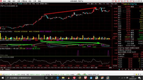天才高手炒股30分钟买入法(天才股票网手机版)