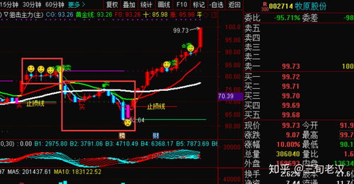 生活必需品股票龙头(生活必须品股票代码)