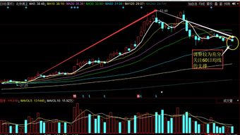 未来有可能涨10倍以上的股票(未来可以涨幅100倍的股票)