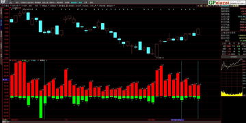 期货量化指标公式源码(期货量化指标软件)