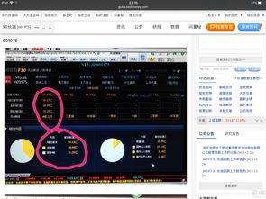 23年新股上市首日涨跌情况(2023破发新股汇总)