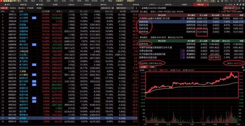2023年3月新股(2023年3月新股上市)
